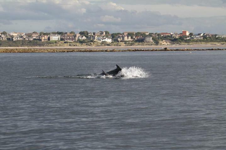 Firthview Cottage Lossiemouth Esterno foto
